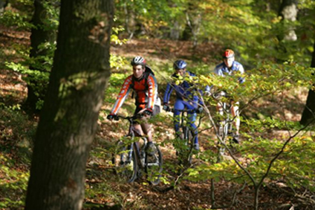 Vacances dans la meuse avec votre famille